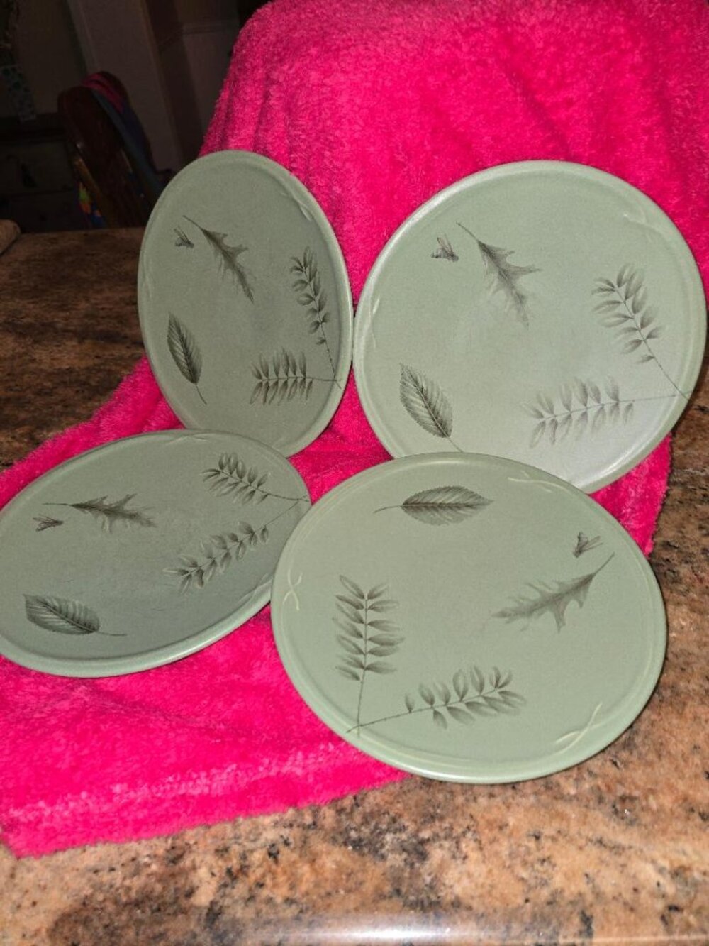 Pfaltzgraff Naturewood Portfolio Buffet Plates 9 3/4" Set of 4 **READ**